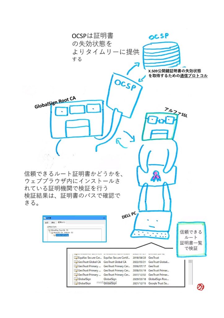 パソコン内の証明書のパスを確認