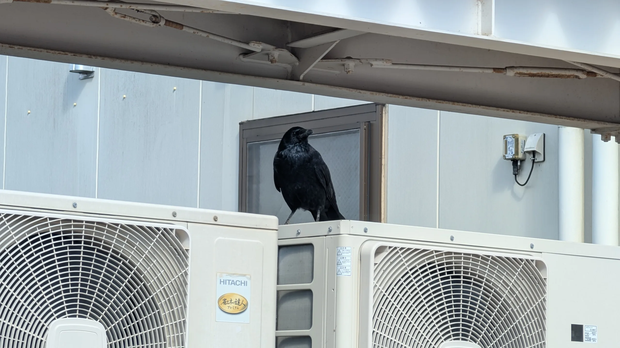 地方のITコンサルタントという仕事　長野市より