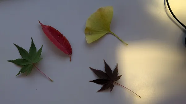 ITコンサルタントのひとりブレスト