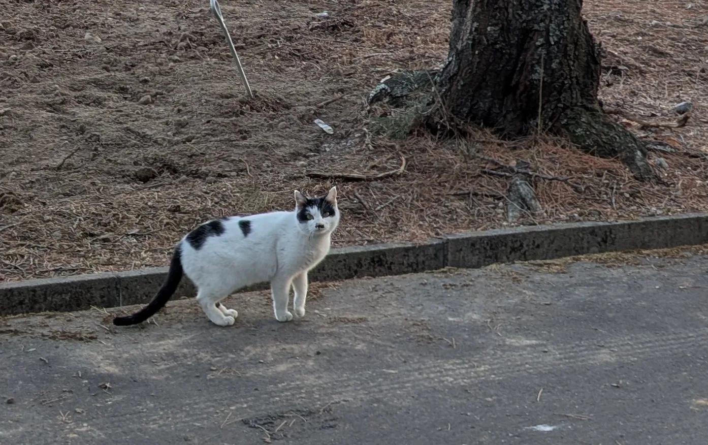 ひかりの故障　事前対策
