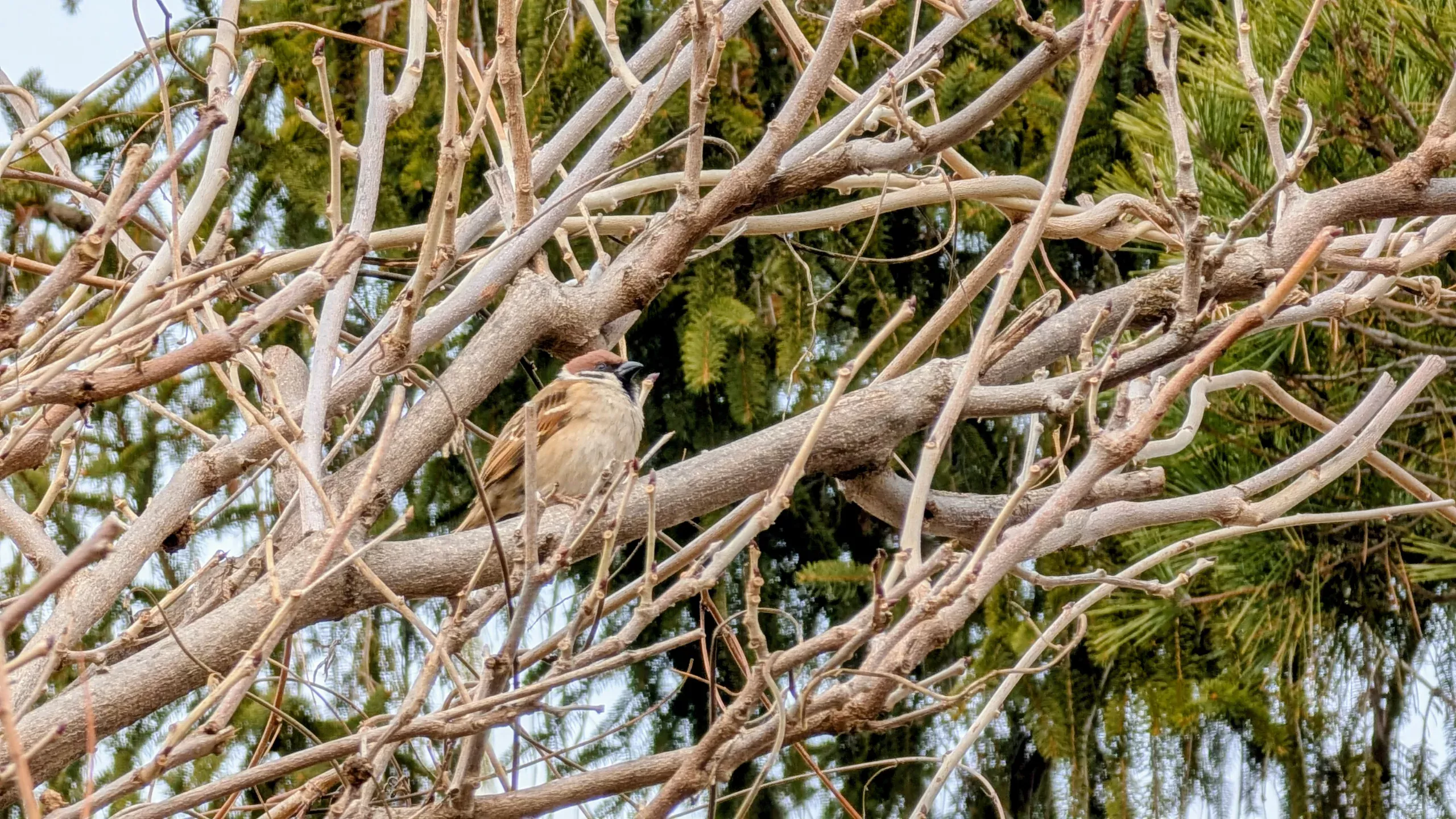 ITコンサルタント　小さな発見