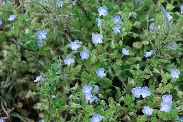 私は御社から直接お仕事をいただく立場で、営業さんは自社の商品を提案する立場なので、責任の所在が違います・・・という構造説明